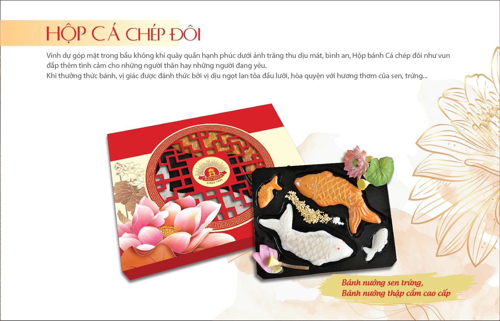 catalog 12