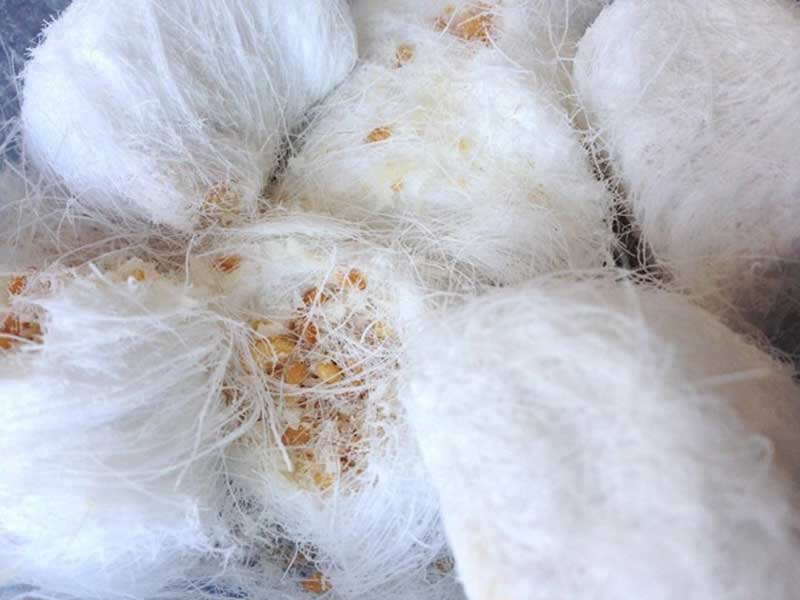 Cùng “nếm” vị của các loại bánh kẹo truyền thống khắp thế giới