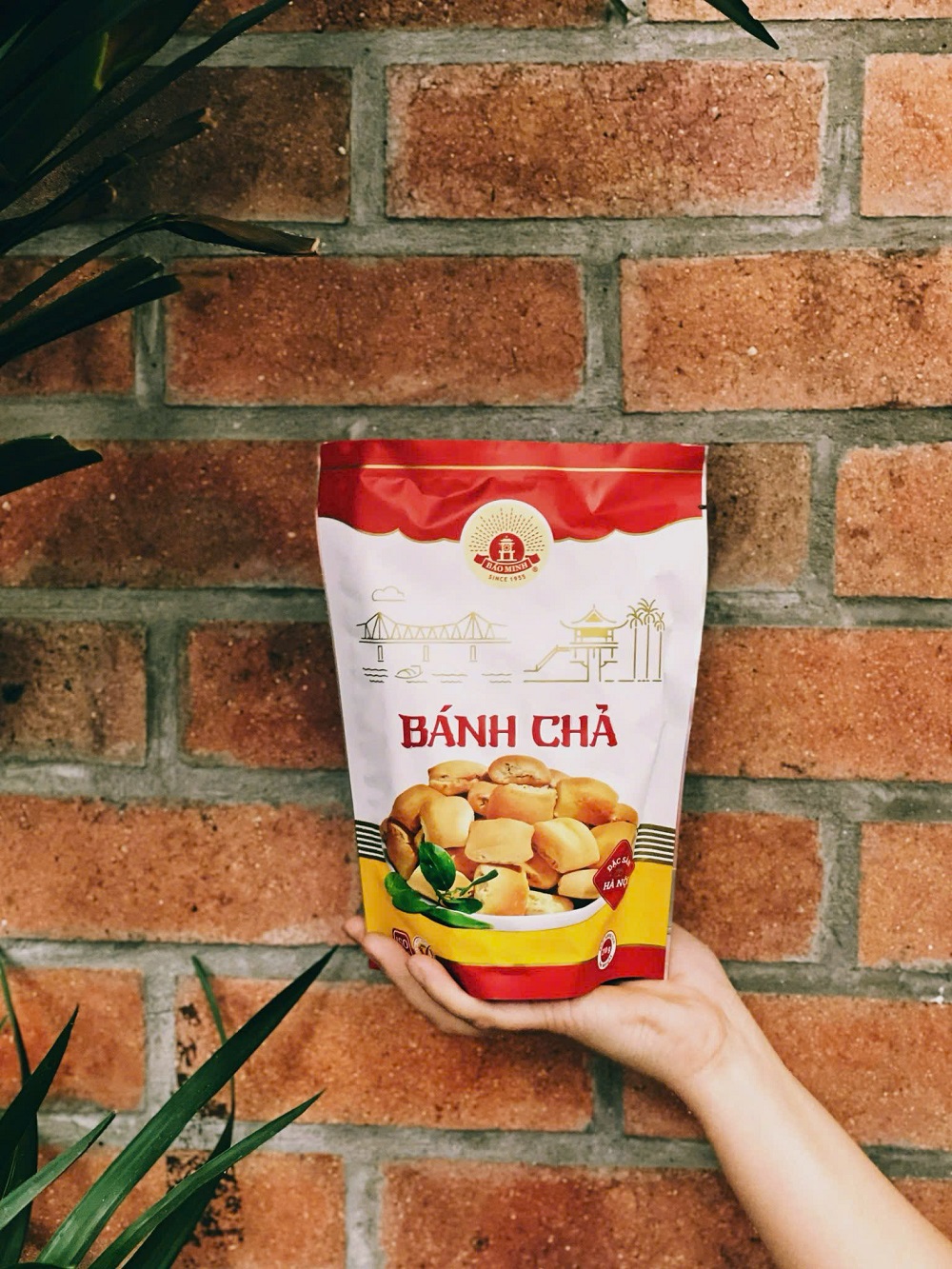 banh cha hoi uc huong vi cua ha noi banh cha 2