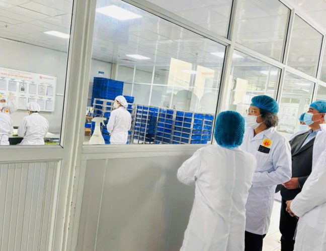 cong ty co phan banh mut keo bao minh don tie z6331419461270 fa098d00b1f3563062dbc5d950c76cc4