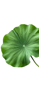 Giới thiệu Bảo Minh