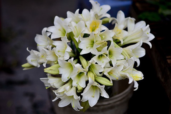 p25thang 4 co gi de cho doi