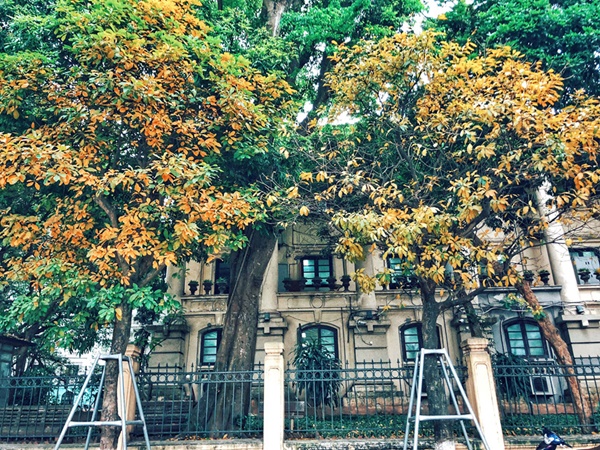 p29thang 4 khuc giao mua cua Ha Noi18