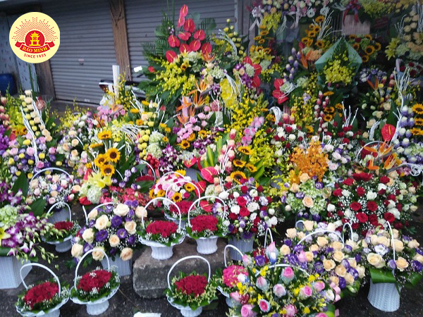 nghề dạy học cao quý