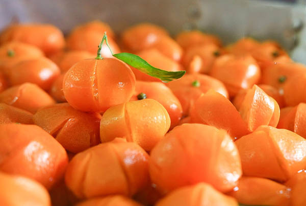 Những tinh túy trong thức quà mang tên mứt tết