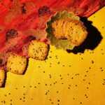 Bánh Cracker Bảo Minh